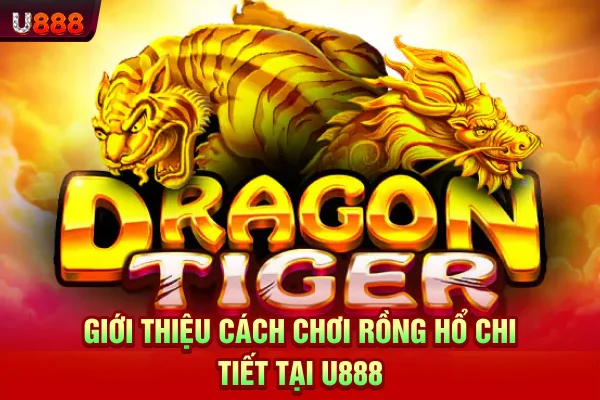 Giới thiệu cách chơi rồng hổ chi tiết tại U888