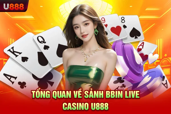 Tổng quan về sảnh BBIN Live Casino U888