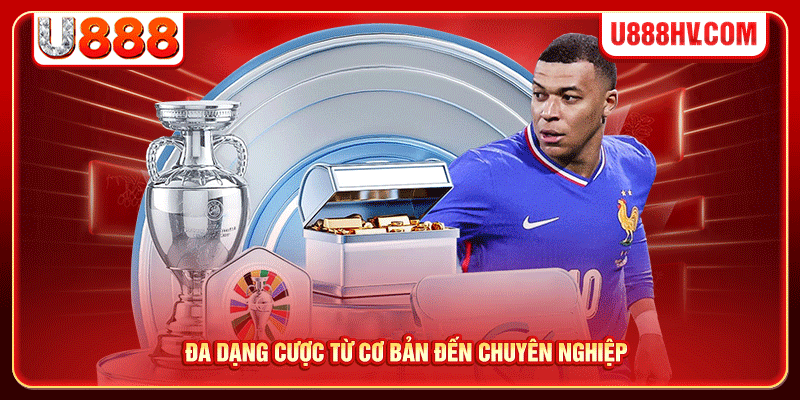 Đa dạng cược từ cơ bản đến chuyên nghiệp